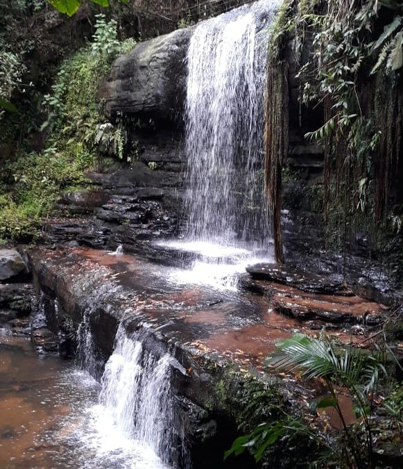 Cachoeira Toca do Tatu